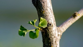 Asociatyvi iliustracija/ Vlado Ščiavinsko nuotrauka